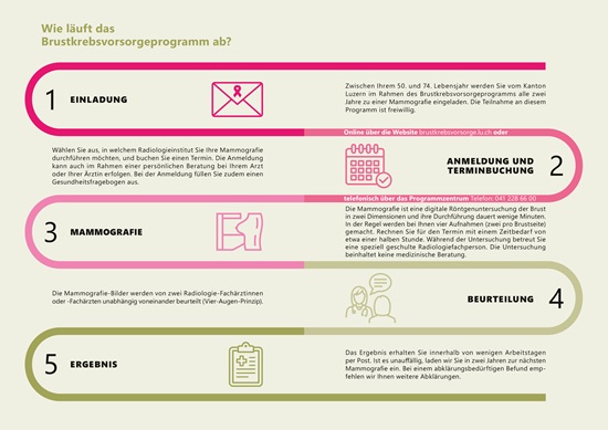 Ablauf Vorsorgeprogramm 